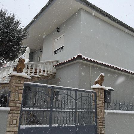 Vila Ridvani 科尔察 外观 照片