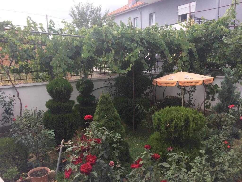 Vila Ridvani 科尔察 外观 照片